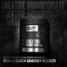 BeastLife Super Micronized Creatine Monohydrate 249g