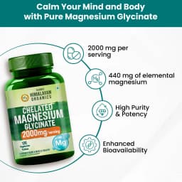 Himalayan Organics Magnesium Glycinate 120 Tabs